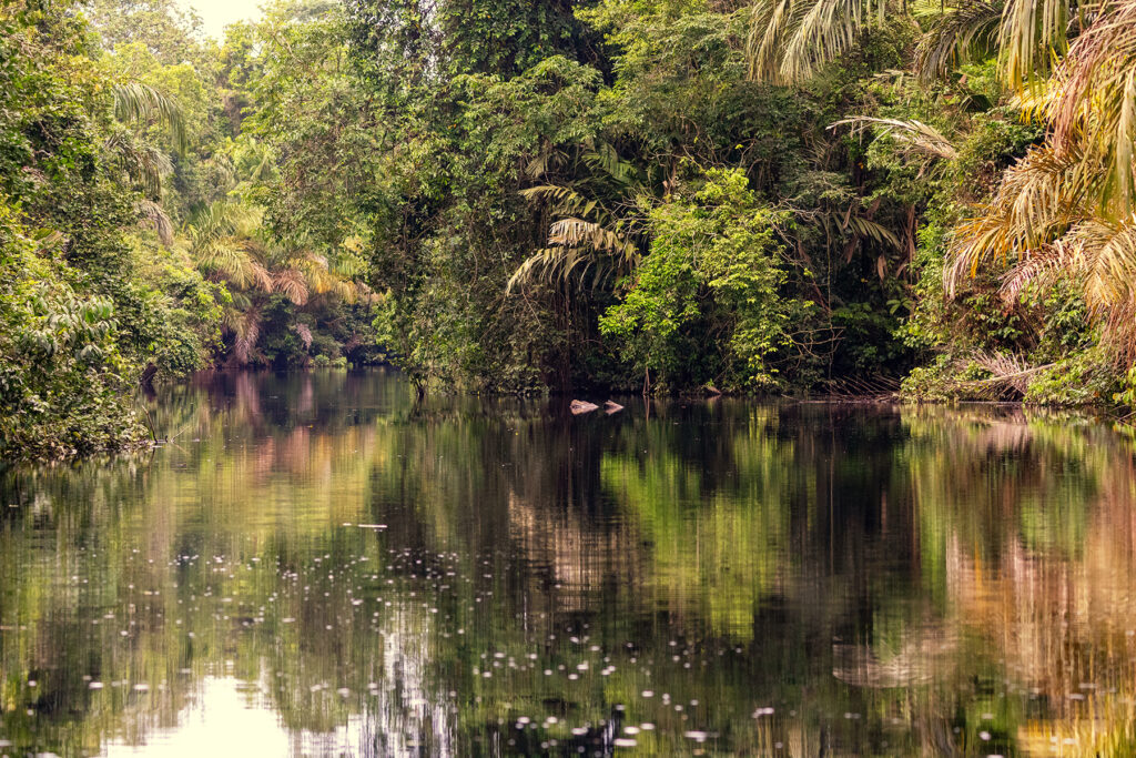 Cano Negro Tortuguero Co