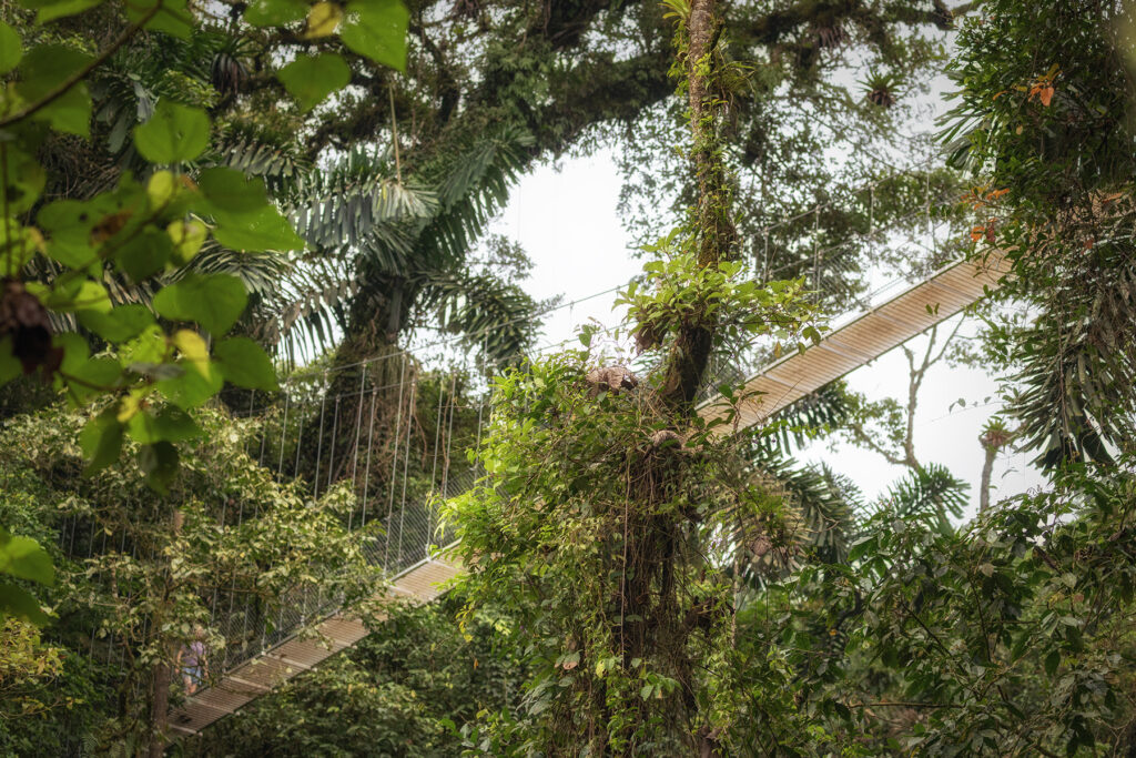 Les ponts suspendus du Mystico park dans les environs de La Fortuna au Costa Rica
